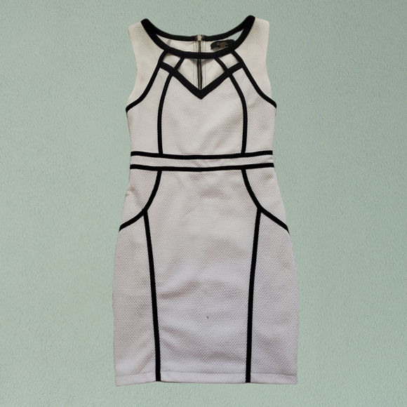 ANGL Dresses & Skirts - ANGL Bodycon Dress